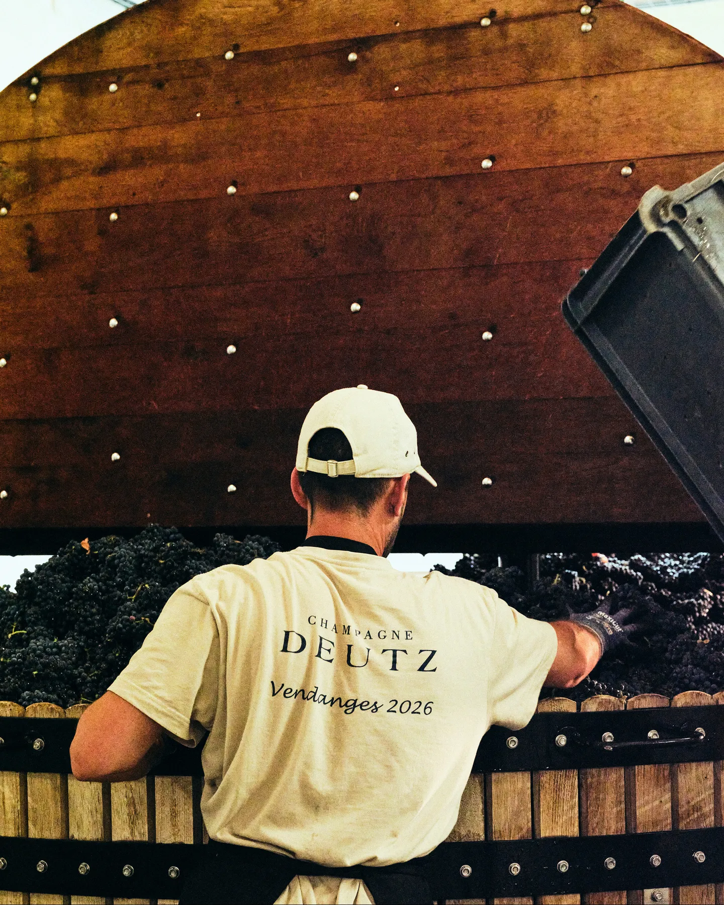 Deutz grape press
