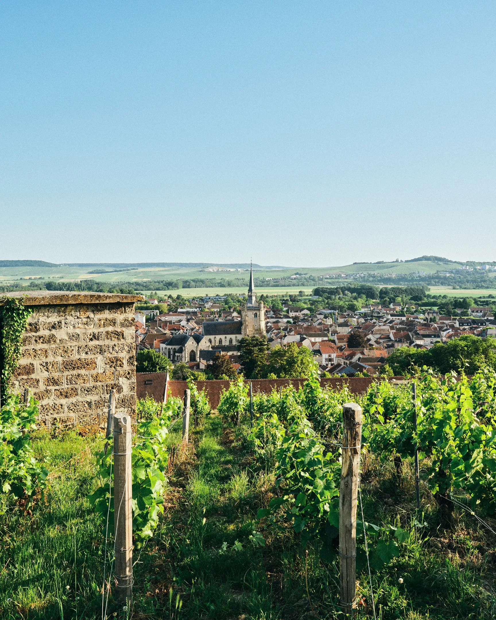 William Deutz - Terroirs Grands Crus d'Ay