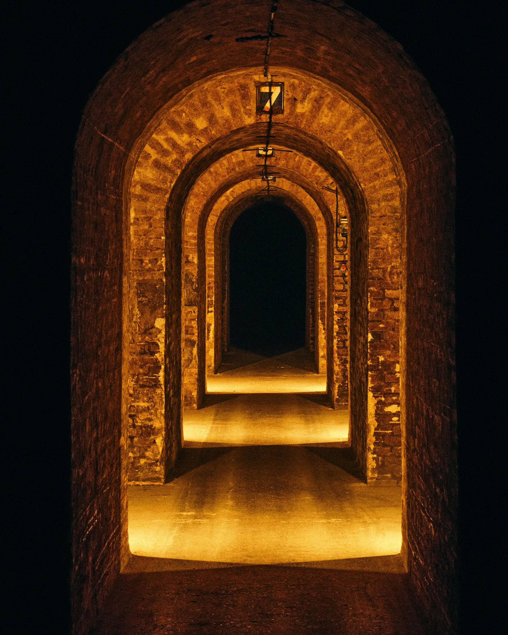 cellars