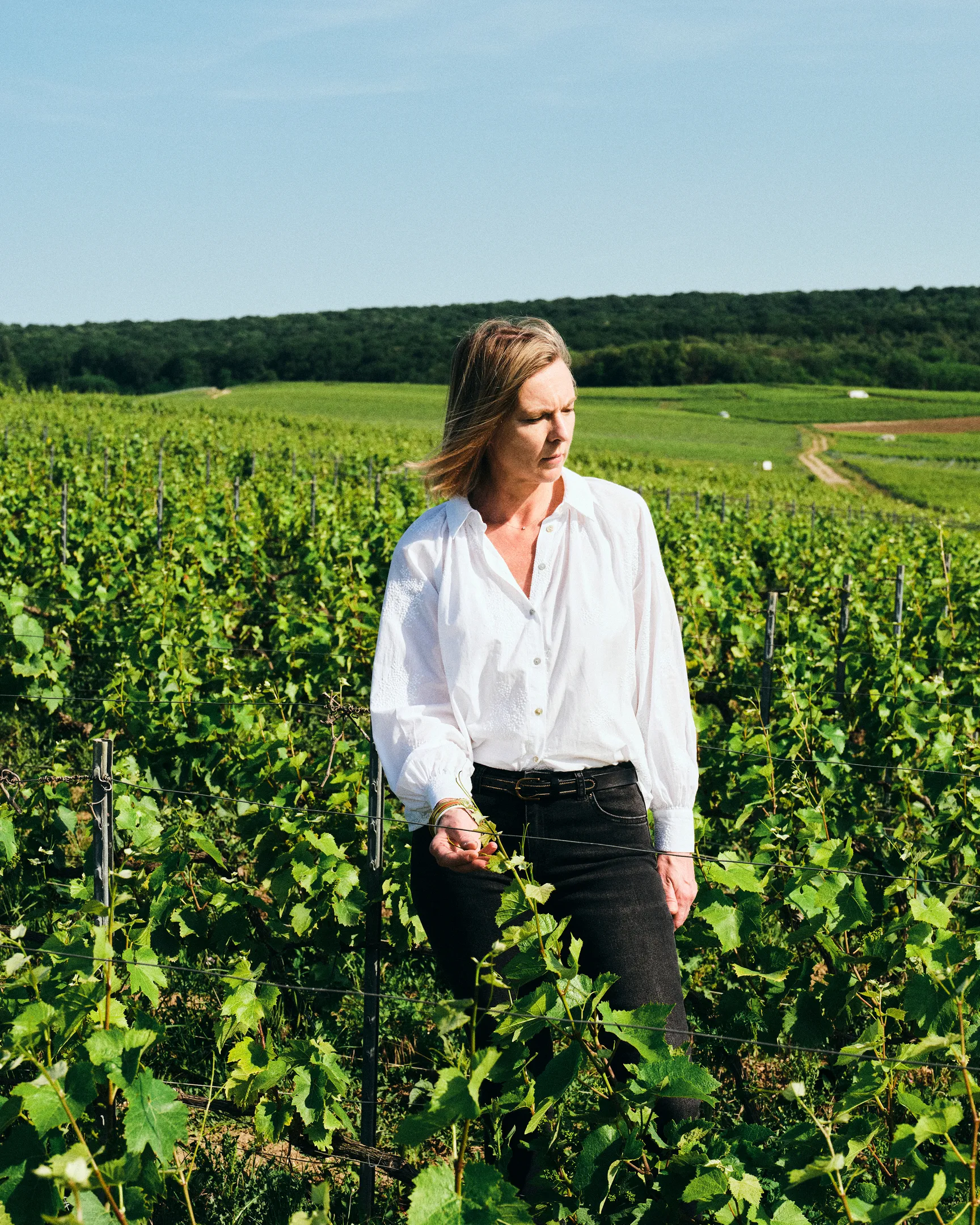 Caroline Latrive, Chef de caves dans les vignes Aÿ