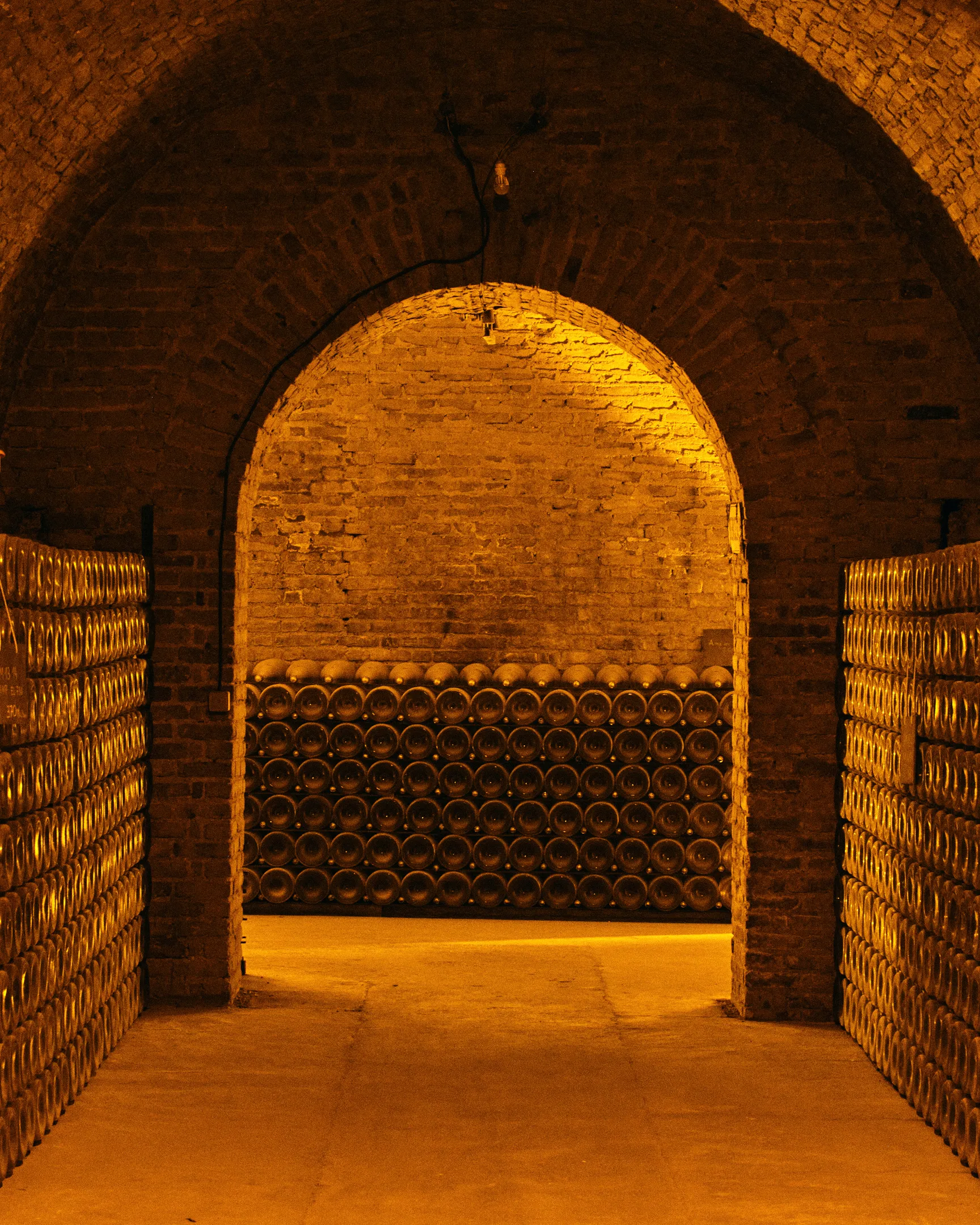 William Deutz - Caves Deutz